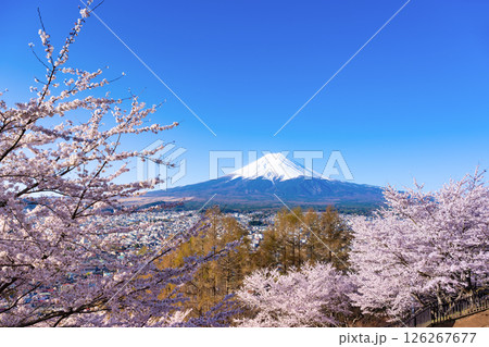 山梨県富士吉田市 春の新倉山浅間公園から見た風景 山梨県富士吉田市 春の新倉山浅間公園から見た風景 126267677