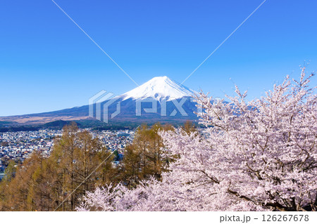 山梨県富士吉田市 春の新倉山浅間公園から見た風景 山梨県富士吉田市 春の新倉山浅間公園から見た風景 126267678