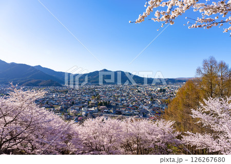 山梨県富士吉田市 春の新倉山浅間公園から見た風景 山梨県富士吉田市 春の新倉山浅間公園から見た風景 126267680