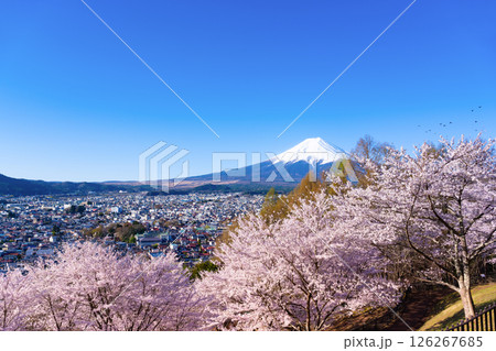 山梨県富士吉田市 春の新倉山浅間公園から見た風景 山梨県富士吉田市 春の新倉山浅間公園から見た風景 126267685