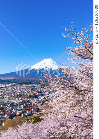 山梨県富士吉田市 春の新倉山浅間公園から見た風景 山梨県富士吉田市 春の新倉山浅間公園から見た風景 126267689