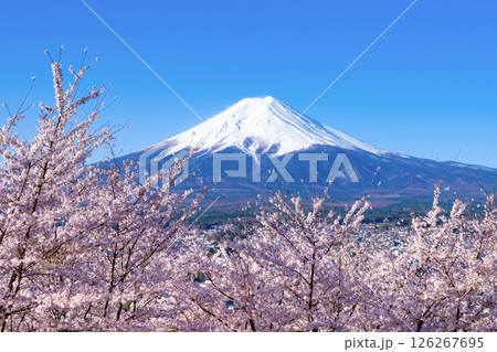 山梨県富士吉田市 春の新倉山浅間公園から見た風景 山梨県富士吉田市 春の新倉山浅間公園から見た風景 126267695