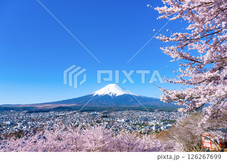 山梨県富士吉田市 春の新倉山浅間公園から見た風景 山梨県富士吉田市 春の新倉山浅間公園から見た風景 126267699