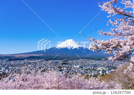 山梨県富士吉田市　春の新倉山浅間公園から見た風景 126267700