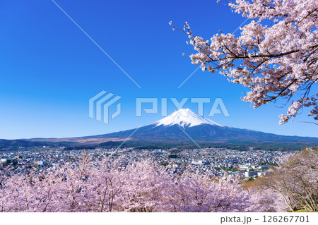 山梨県富士吉田市　春の新倉山浅間公園から見た風景 126267701