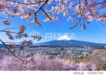 山梨県富士吉田市 春の新倉山浅間公園から見た風景 山梨県富士吉田市 春の新倉山浅間公園から見た風景 126267702