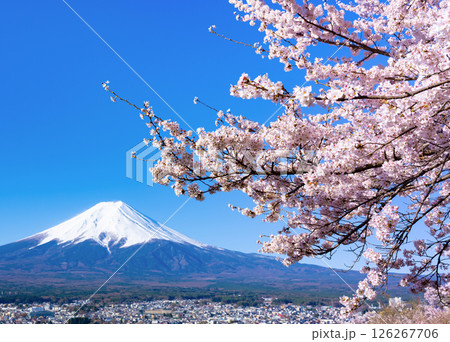 山梨県富士吉田市　春の新倉山浅間公園から見た風景 126267706