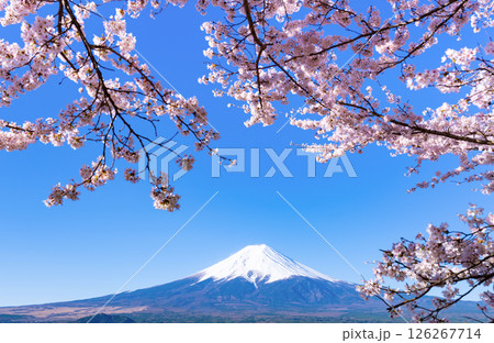 山梨県富士吉田市 春の新倉山浅間公園から見た風景 山梨県富士吉田市 春の新倉山浅間公園から見た風景 126267714