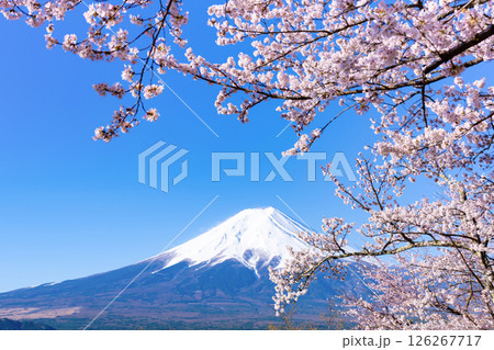 山梨県富士吉田市 春の新倉山浅間公園から見た風景 山梨県富士吉田市 春の新倉山浅間公園から見た風景 126267717