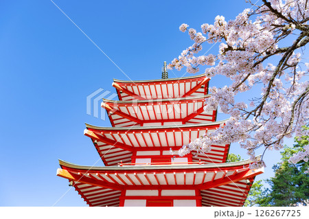 山梨県富士吉田市　春の新倉山浅間公園から見た風景 126267725