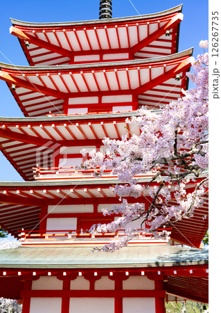 山梨県富士吉田市 春の新倉山浅間公園から見た風景 山梨県富士吉田市 春の新倉山浅間公園から見た風景 126267735