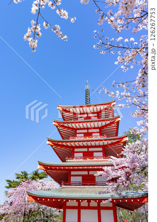 山梨県富士吉田市 春の新倉山浅間公園から見た風景 山梨県富士吉田市 春の新倉山浅間公園から見た風景 126267753