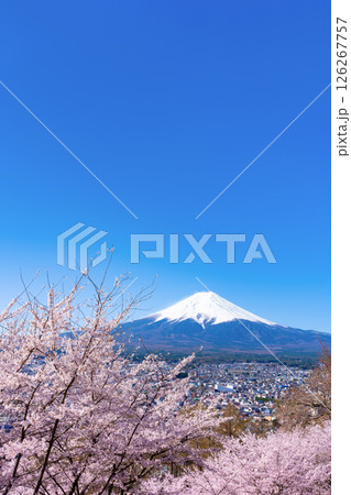 山梨県富士吉田市 春の新倉山浅間公園から見た風景 山梨県富士吉田市 春の新倉山浅間公園から見た風景 126267757