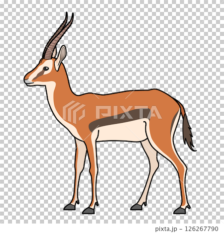 Thomson Gazell Thomson Gazell 126267790