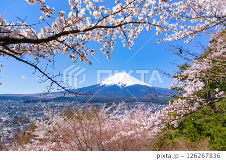 山梨県富士吉田市　春の新倉山浅間公園から見た風景 126267836