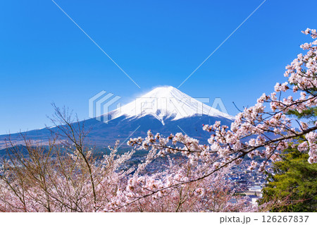 山梨県富士吉田市 春の新倉山浅間公園から見た風景 山梨県富士吉田市 春の新倉山浅間公園から見た風景 126267837