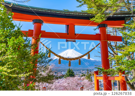山梨県富士吉田市 春の新倉山浅間公園から見た風景 山梨県富士吉田市 春の新倉山浅間公園から見た風景 126267838