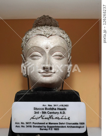 パキスタンのペシャワール博物館に展示されるガンダーラ仏の仏頭 126268237