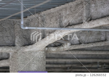 鉄骨の耐火被覆　イメージ 126268332