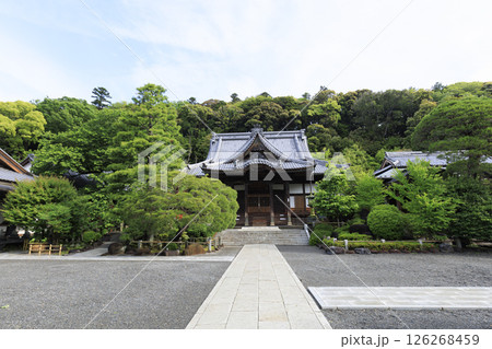 修善寺の修禅寺の春 126268459