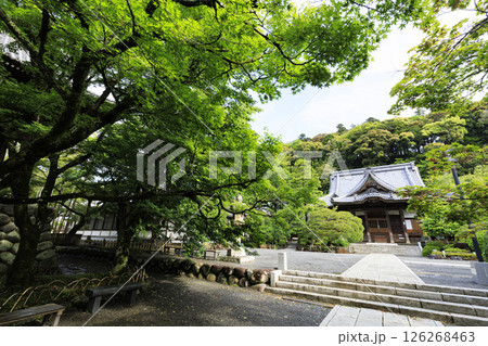 修善寺の修禅寺の春 修善寺の修禅寺の春 126268463