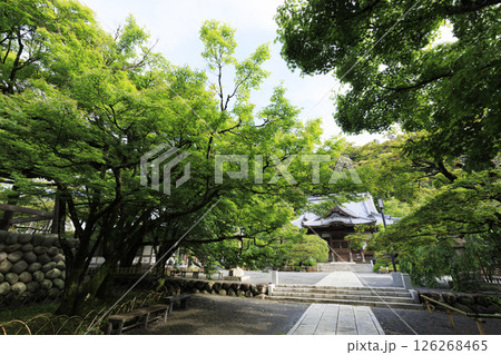 修善寺の修禅寺の春 修善寺の修禅寺の春 126268465
