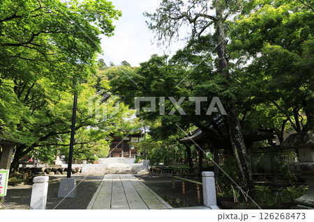 修善寺の修禅寺の春 126268473