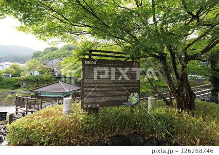 修善寺温泉の竹林の小路 修善寺温泉の竹林の小路 126268746