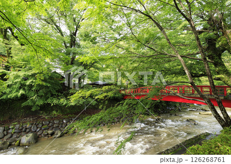 修善寺温泉の竹林の小路 126268761