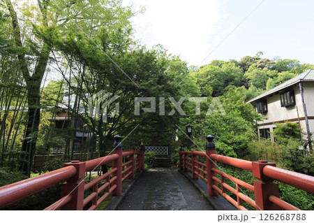 修善寺温泉の竹林の小路 修善寺温泉の竹林の小路 126268788