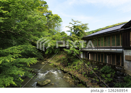 修善寺温泉の竹林の小路 修善寺温泉の竹林の小路 126268954