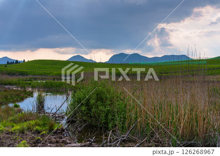 雨不足ですっかり水量を減らしてしまった曽爾高原のお亀池　曇天の空を映す中央に細々と残る水面③ 126268967