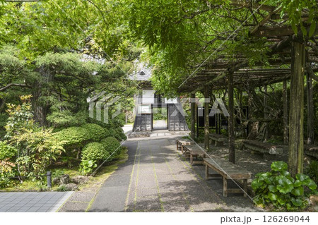 龍潭寺(浜松市)東門 龍潭寺(浜松市)東門 126269044