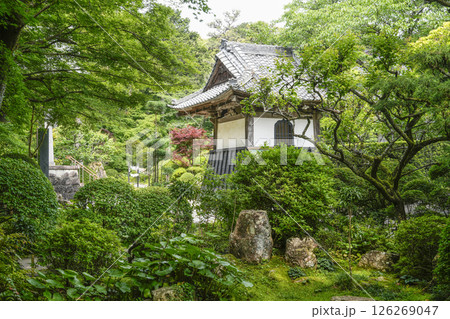 龍潭寺(浜松市)東門 龍潭寺(浜松市)東門 126269047