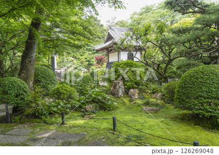 龍潭寺（浜松市）東門 126269048