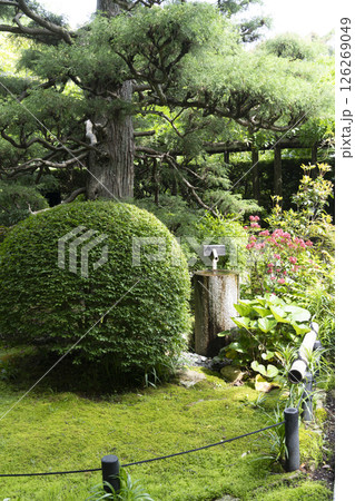 龍潭寺（浜松市）境内 126269049