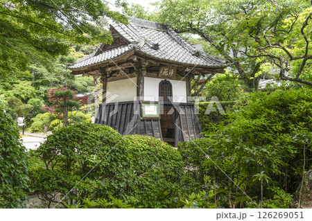 龍潭寺（浜松市）東門 126269051