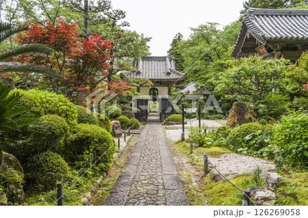 龍潭寺(浜松市)東門(旧鐘楼堂) 龍潭寺(浜松市)東門(旧鐘楼堂) 126269058