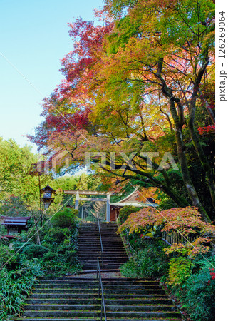紅葉に包まれた日向大神宮 126269064