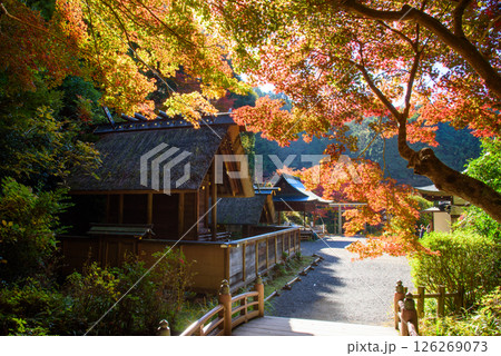 紅葉に包まれた日向大神宮 紅葉に包まれた日向大神宮 126269073