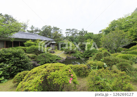 葉山しおさい公園の春 葉山しおさい公園の春 126269127