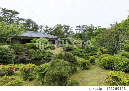 葉山しおさい公園の春 葉山しおさい公園の春 126269128