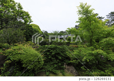 葉山しおさい公園の春 葉山しおさい公園の春 126269131