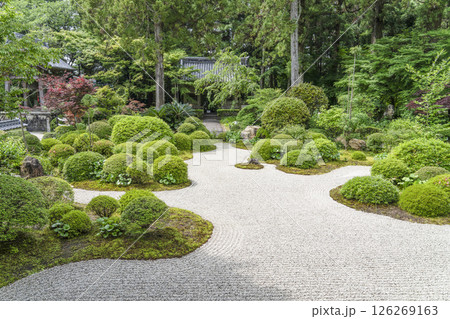 龍潭寺（浜松市）本堂前の庭園 126269163