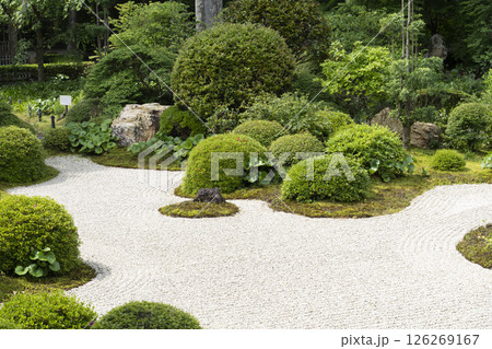 龍潭寺（浜松市）本堂前の庭園 126269167