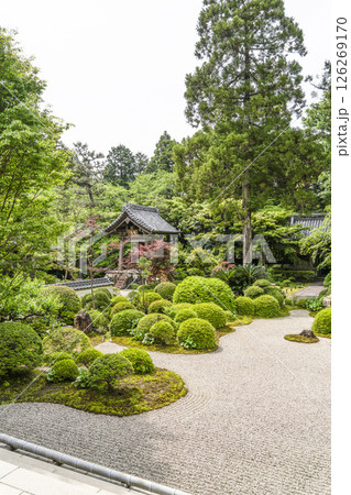 龍潭寺（浜松市）本堂より鐘楼堂を望む 126269170
