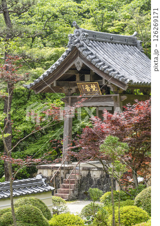 龍潭寺（浜松市）本堂から望む鐘楼堂 126269171