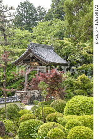 龍潭寺（浜松市）本堂から望む鐘楼堂 126269172