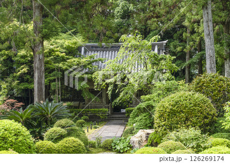 龍潭寺（浜松市）本堂より仁王門を望む 126269174