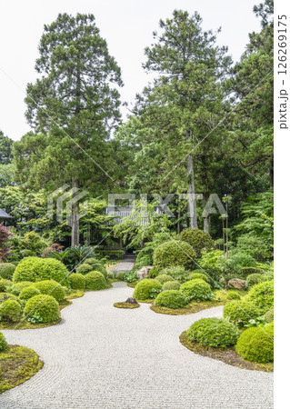 龍潭寺（浜松市）本堂より仁王門を望む 126269175